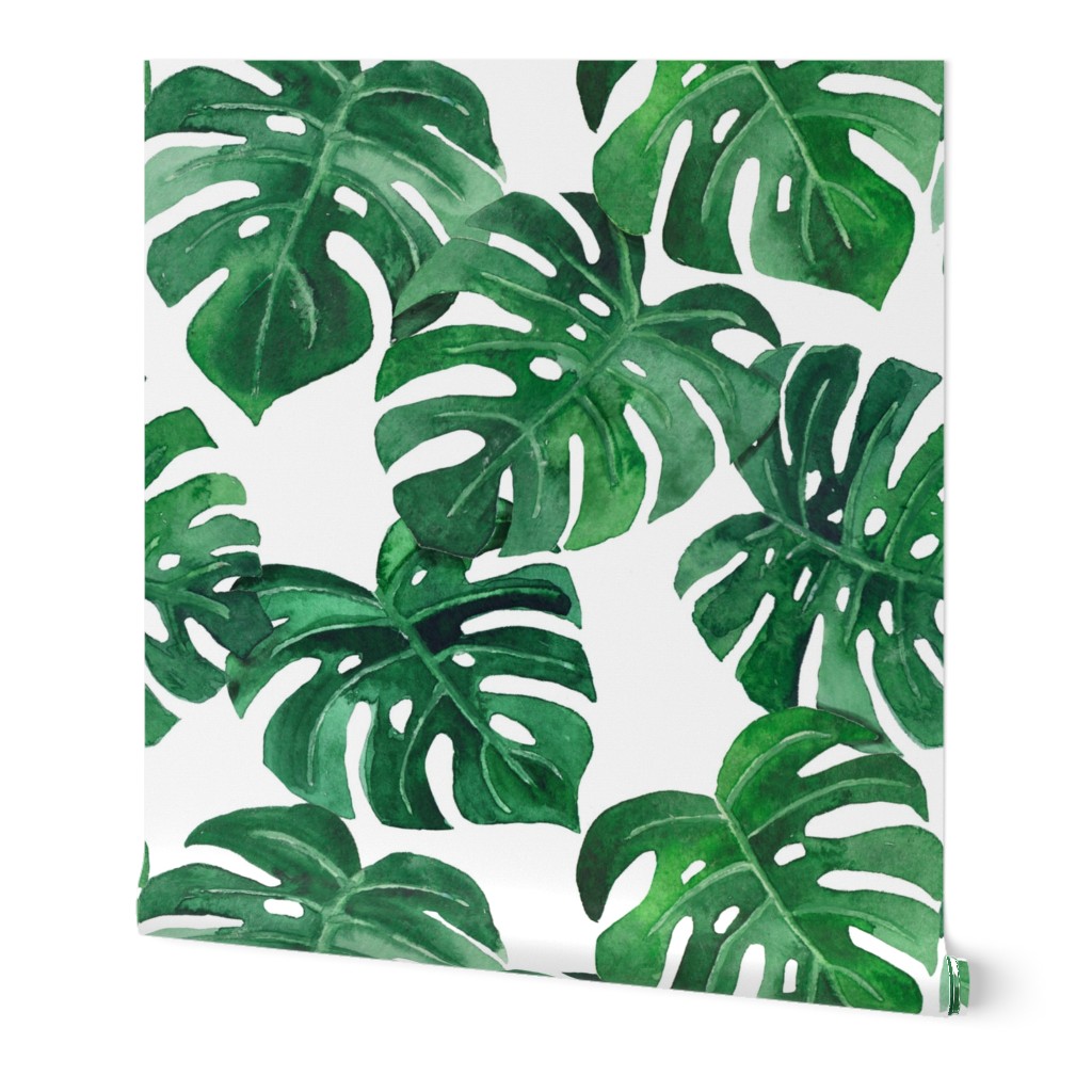 watercolor monstera leaves white