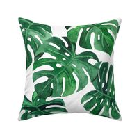 watercolor monstera leaves white