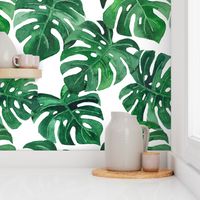 watercolor monstera leaves white