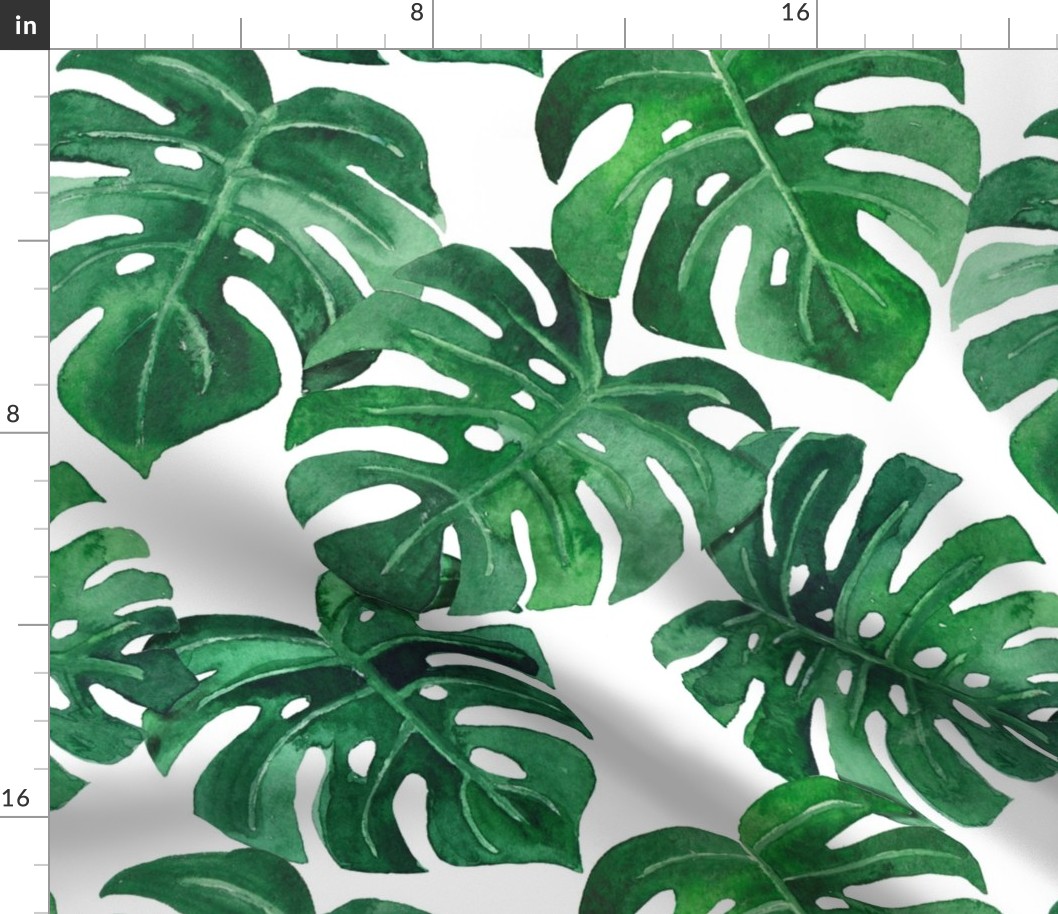 watercolor monstera leaves white