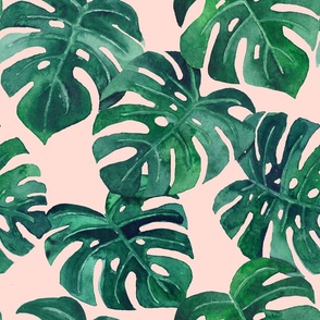 watercolor monstera leaves blush pink