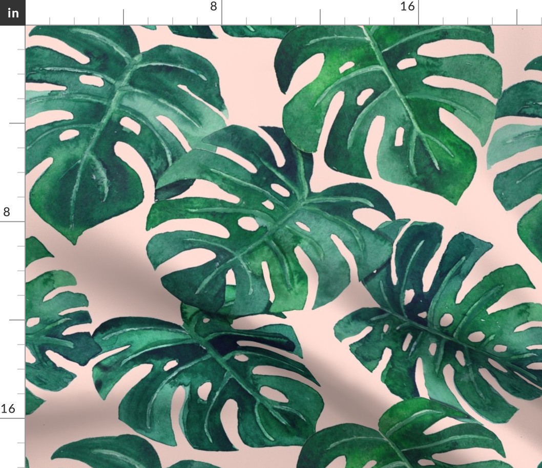 watercolor monstera leaves blush pink