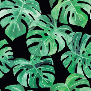 watercolor monstera leaves black