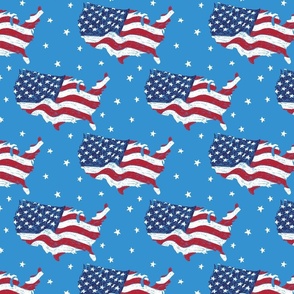 Patriotic USA flag
