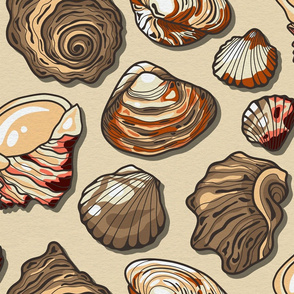 Black Sea Natural Color Seashell / Large Scale