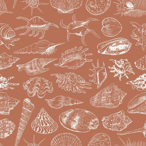 Summer concept with Unique museum sea shells sea snails. Sketch white contour on rust background. 