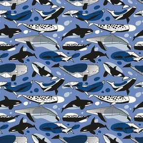 Tiny scale // Whales joyful song // denim blue background pastel and classic blue and black and white geometric sea animals