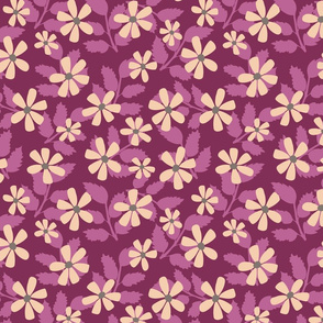 Daisies on purple