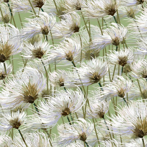 Cotton Grass Dream | Celery Green 3 