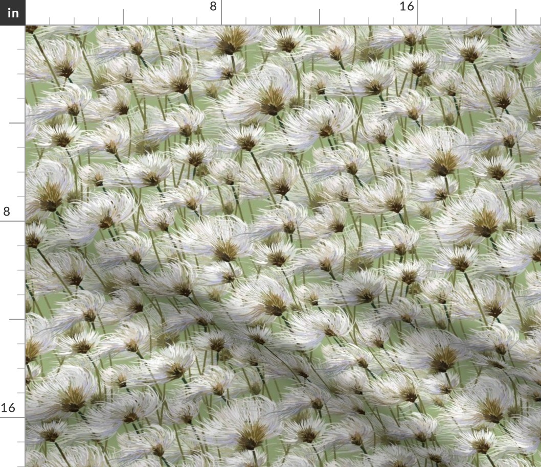 Cotton Grass Dream | Small | Celery Green #3