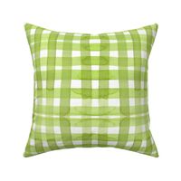 cestlaviv_spring gingham