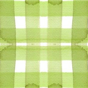 cestlaviv_spring gingham