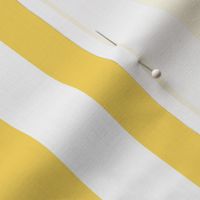 Large Pineapple Yellow Awning Stripe Pattern Vertical in White