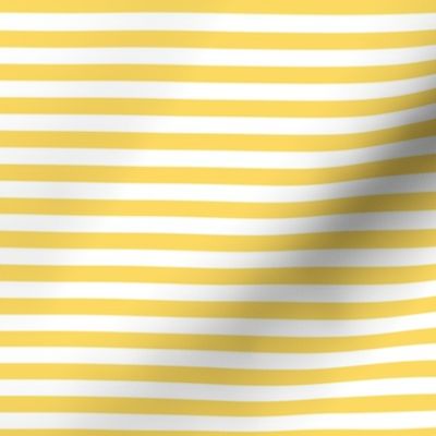 Pineapple Yellow Bengal Stripe Pattern Horizontal in White