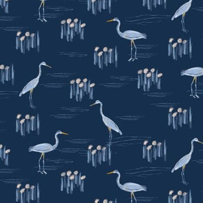 Small Great Heron Birds fishing in water on navy blue