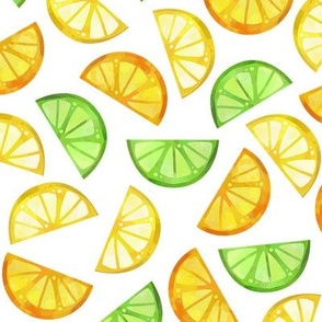 Citrus Slices