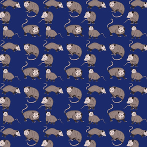 possum blue dark small