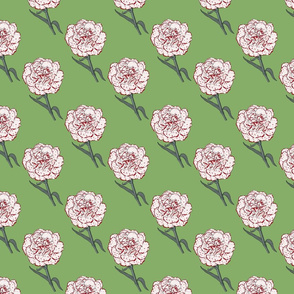 Carnation - green - medium