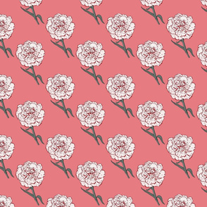 Carnation - pink - medium