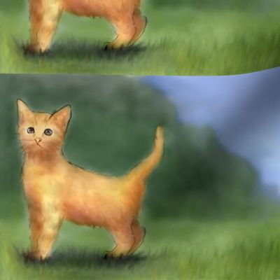 little_orange_kitten