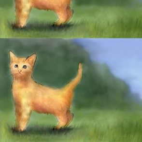 little_orange_kitten