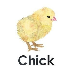 chick - 6" panel