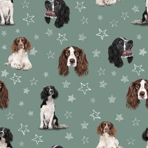 The Springer Spaniel Green