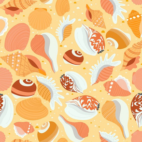 Seashells