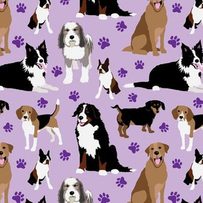 Purple Dogs