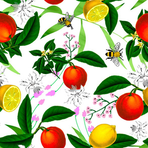 Summer,citrus, oranges, bees ,Mediterranean style ,lemon fruit pattern 