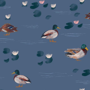 Medium Mallards Ducks Birds with Waterlillies flowers on blue gray 