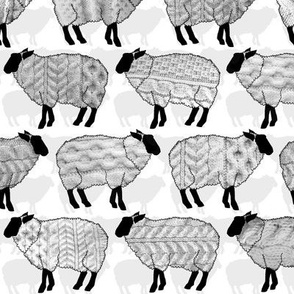 Sheep Wearing Sweaters