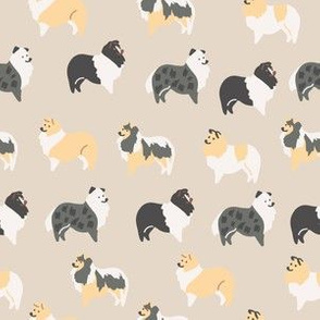 Border Collie Dog on Beige / Dog breed / Dog fabric