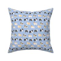 Border Collie Dog on Blue / Dog breed / Dog fabric