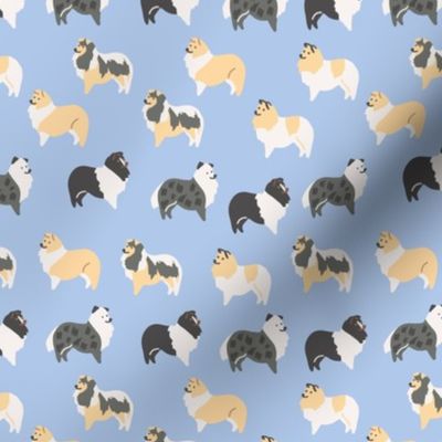 Border Collie Dog on Blue / Dog breed / Dog fabric
