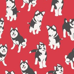 Siberian Husky Dog on Red / Dog breed / Dog fabric
