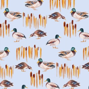 Small Ducks and Cattails on Light Blue