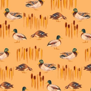 Small Mallards Duck migration Bird and cattail on yellow orange warm fall