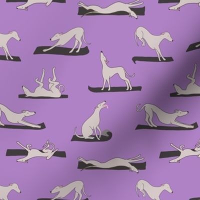 Doggy Yoga on Orchid Purple