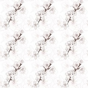 Spring Sakura Branch // Normal Scale // White Background // Boho Nature // Floral Lines