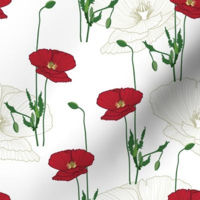 Red poppy lines // Normal Scale // White Background // Poppy Flowers // Wild Flowers // Red Poppy // Summer Time // Cotton // Bright Flowers