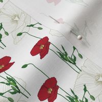 Red poppy lines // Normal Scale // White Background // Poppy Flowers // Wild Flowers // Red Poppy // Summer Time // Cotton // Bright Flowers