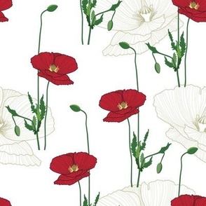 Red poppy lines // Normal Scale // White Background // Poppy Flowers // Wild Flowers // Red Poppy // Summer Time // Cotton // Bright Flowers