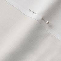 Bone White  Beige Plain Ecru  Solid Bone Off White Fabric 