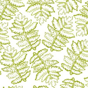 Woodblock Fern Edges