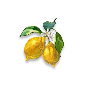6” Embroidery Pix - Sweet Lemons | White