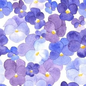 Watercolor pansy flowers. Blue and violet pansies S