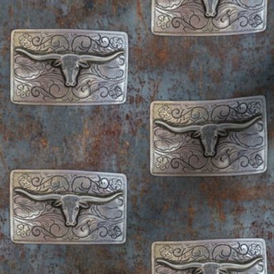 Longhorn on corroded steel (soft)