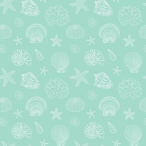 Mint green sea shells, sea-urchins, starfishes, corals on soft mint