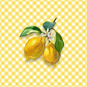 6” Embroidery Pix - Sweet Lemons | Yellow Gingham